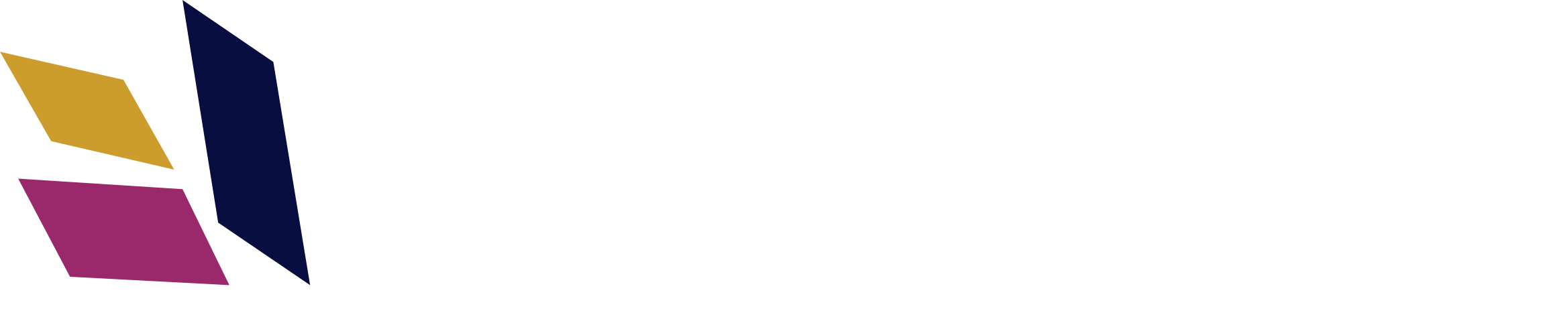 Secondary Logo
